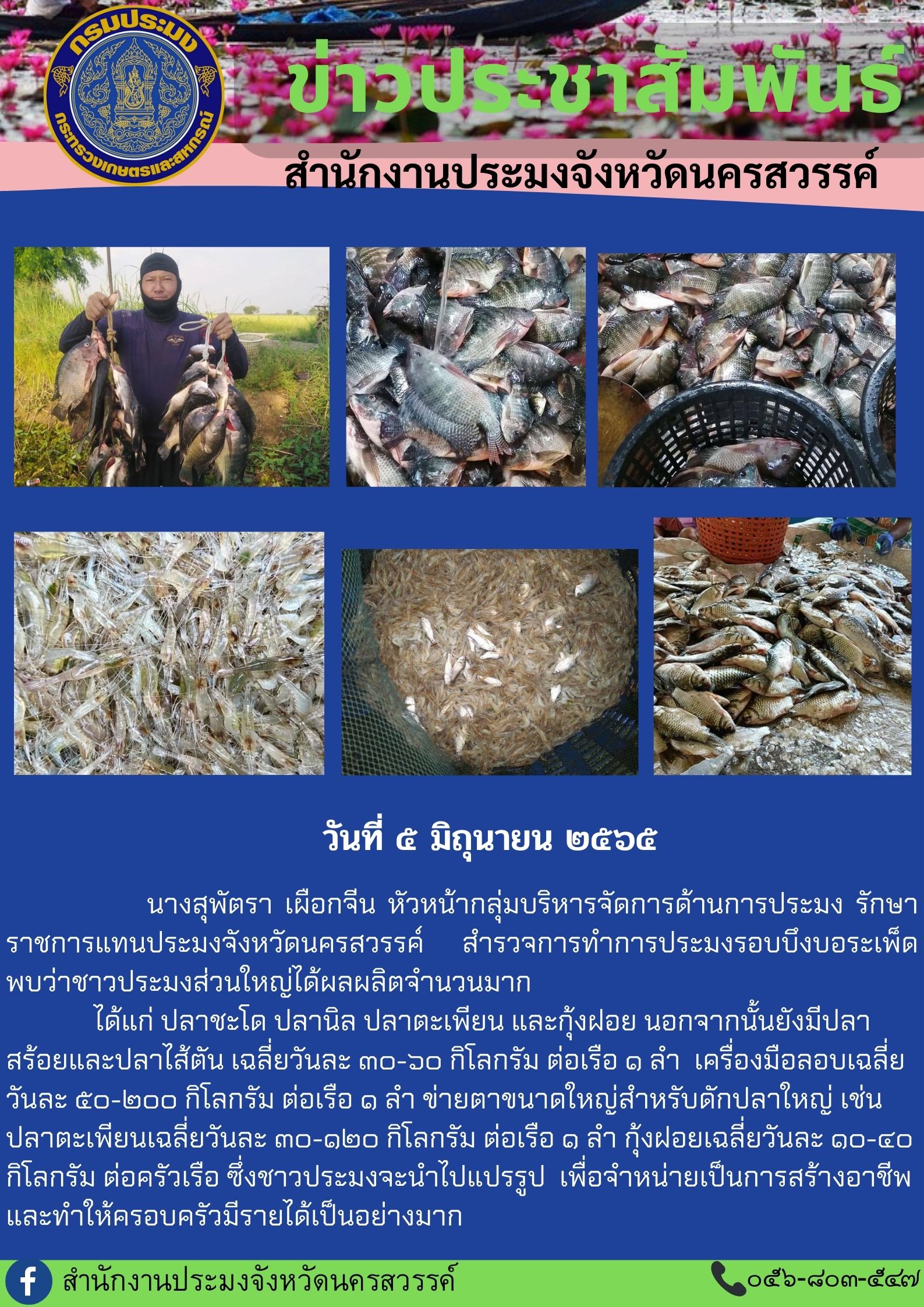 ผลผลิตจากบึงบอระเพ็ด..คลิก