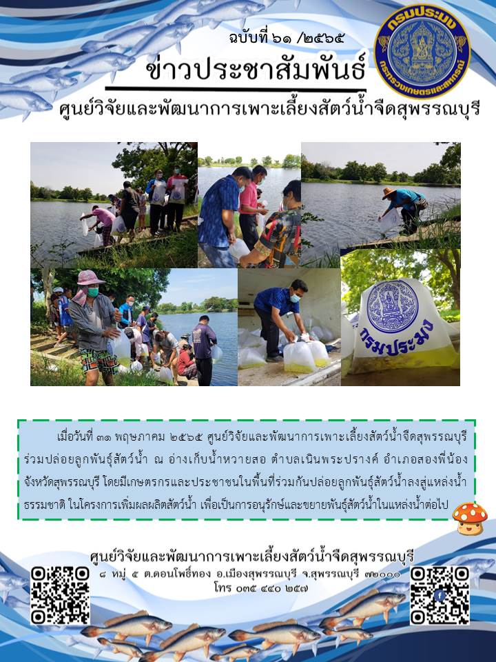 ข่าวประชาสัมพันธ์ฉบับที่ 61 ประจำเดือน มิถุนายน 2565..คลิก