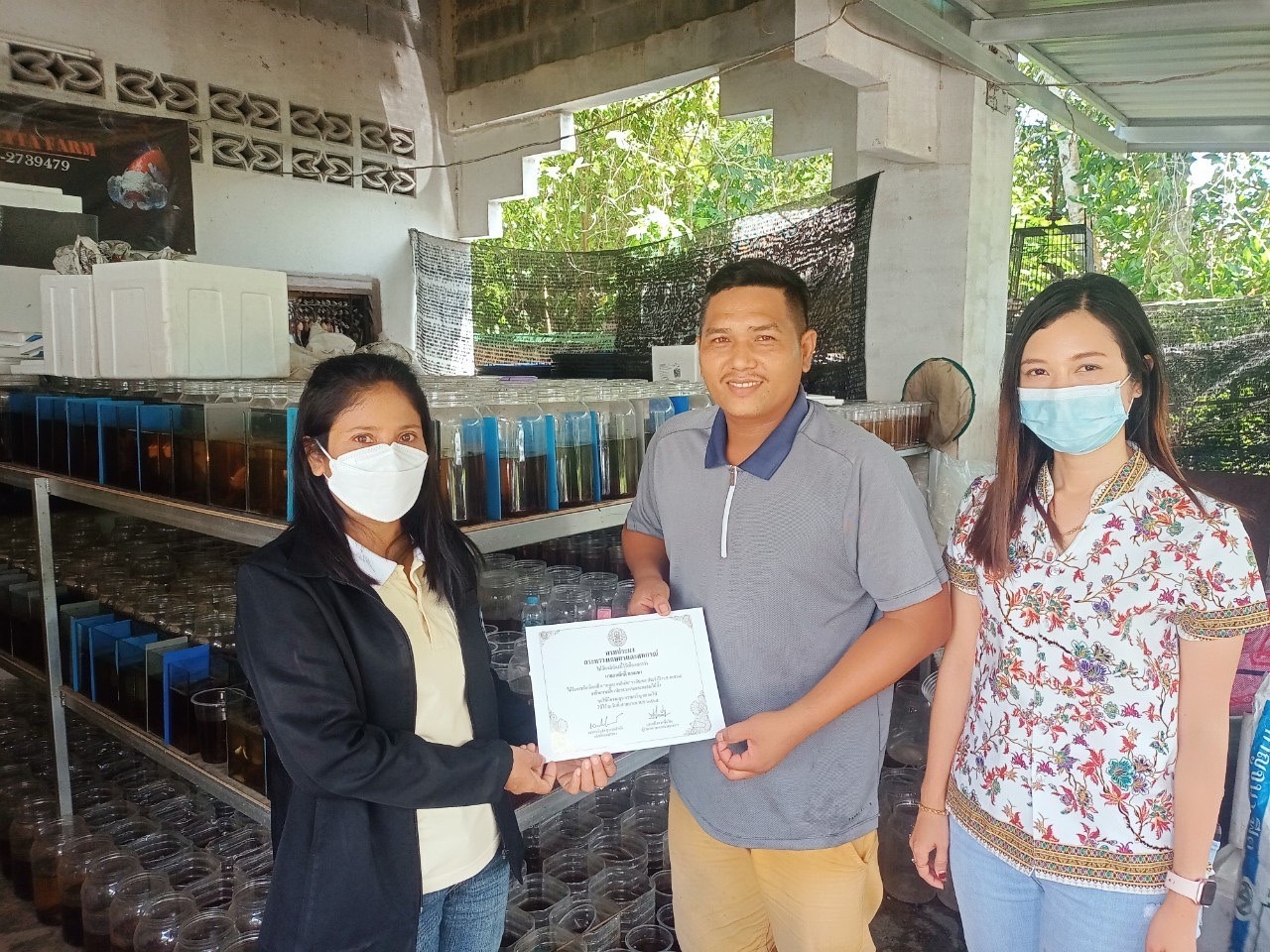 โครงการส่งเสริมอาชีพประมง 