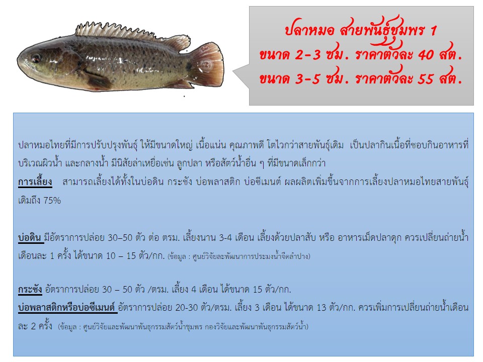 ประชาสัมพันธ์พันธุ์สัตว์น้ำที่เปิดให้จอง เดือน มิถุนายน 2565..คลิก