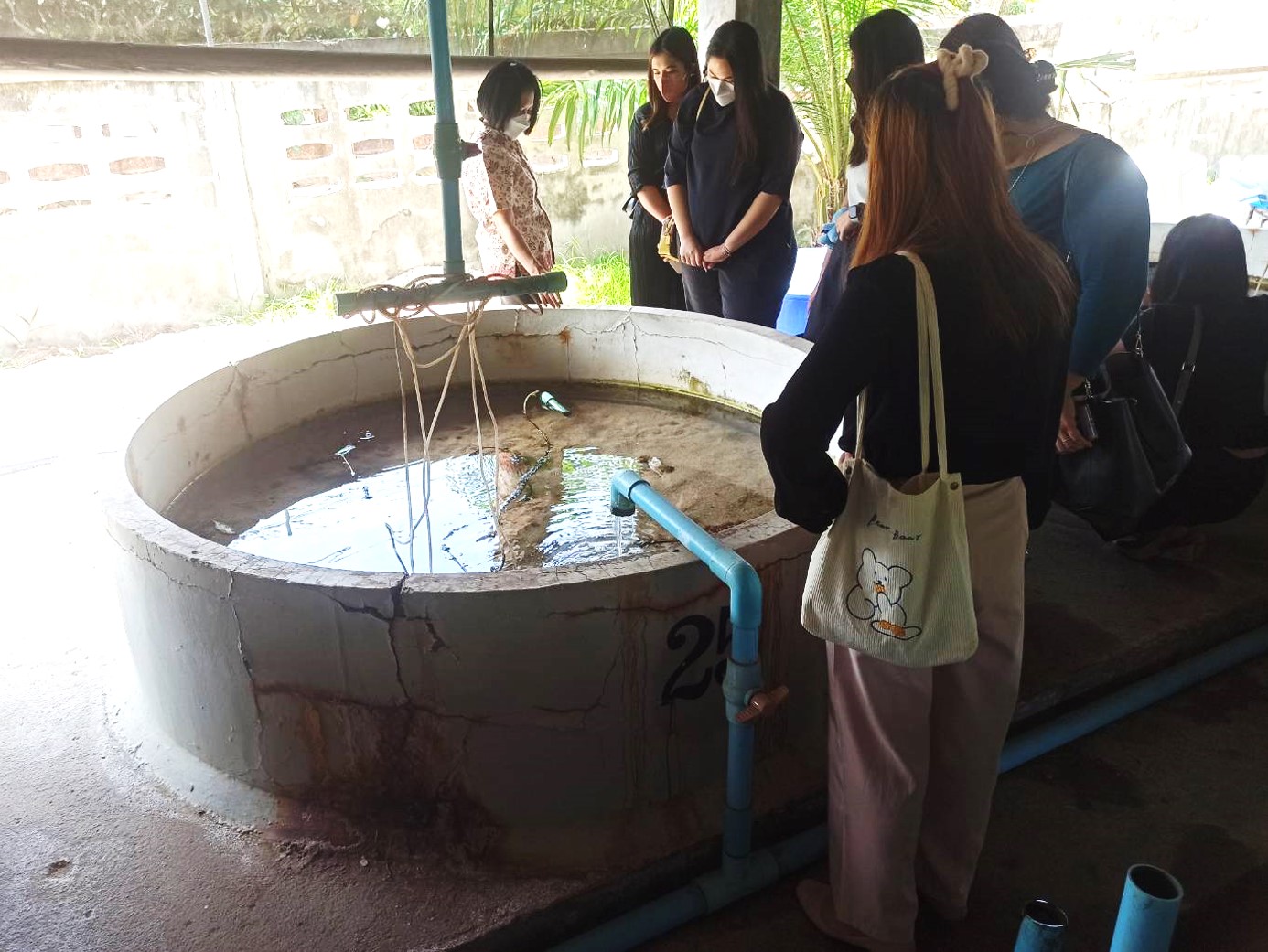 นางนันทวัน ศานติสาธิตกุล ผู้อำนวยการศูนย์วิจัยและพัฒนาการเพาะเลี้ยงสัตว์น้ำชายฝั่งระยอง ร่วมการติดตามผลงานการดำเนินงานโครงการนักท่องเที่ยวช่วยสร้างความยั่งยืน :สัตว์ทะเล..คลิก