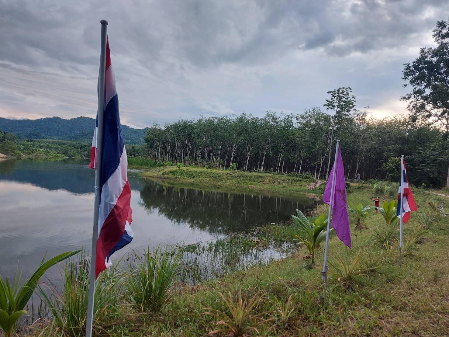 สำนักงานประมงจังหวัดพัทลุง ลงพื้นที่อำเภอป่าบอน เพื่อเตรียมความพร้อมในพิธีปล่อยพันธุ์สัตว์น้ำ ในวันที่ 9 มิถุนายน 2565..คลิก