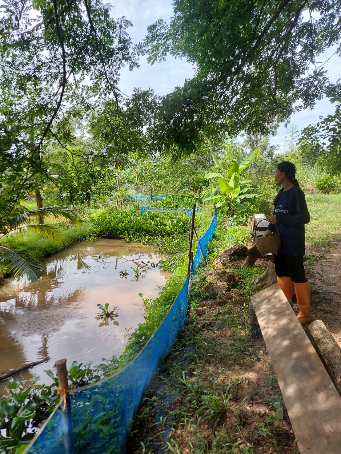 ประมงอำเภอพิบูลมังสาหาร เยี่ยมเยียน ติดตามผลการดำเนินงานศูนย์เรียนรู้การเพิ่มประสิทธิภาพการผลิตสินค้าเกษตร (ศพก.ยกระดับด้านประมง ปี 2565 อำเภอตาลสุม)..คลิก