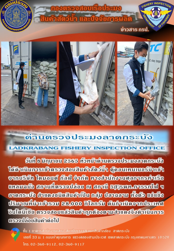 สินค้าสัตว์น้ำนำเข้าประจำวันที่ 8 มิถุนายน 2565..คลิก