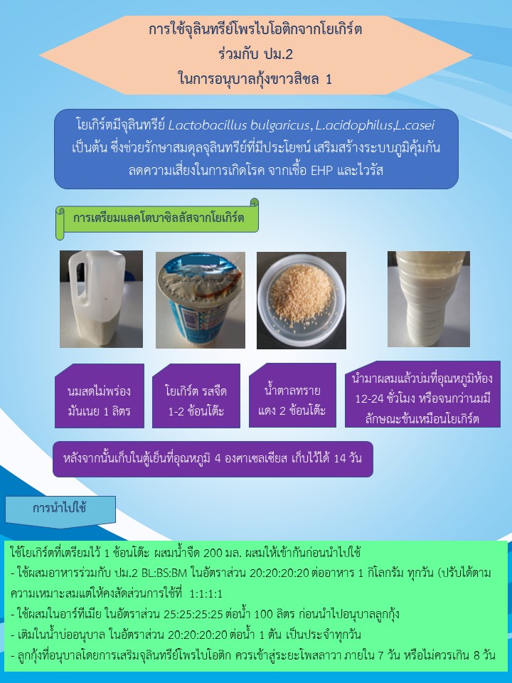 การใช้จุลินทรีย์โพรไบโอติกจากโยเกิร์ต ร่วมกับ ปม.2 ในการอนุบาลกุ้งขาวสิชล 1..คลิก