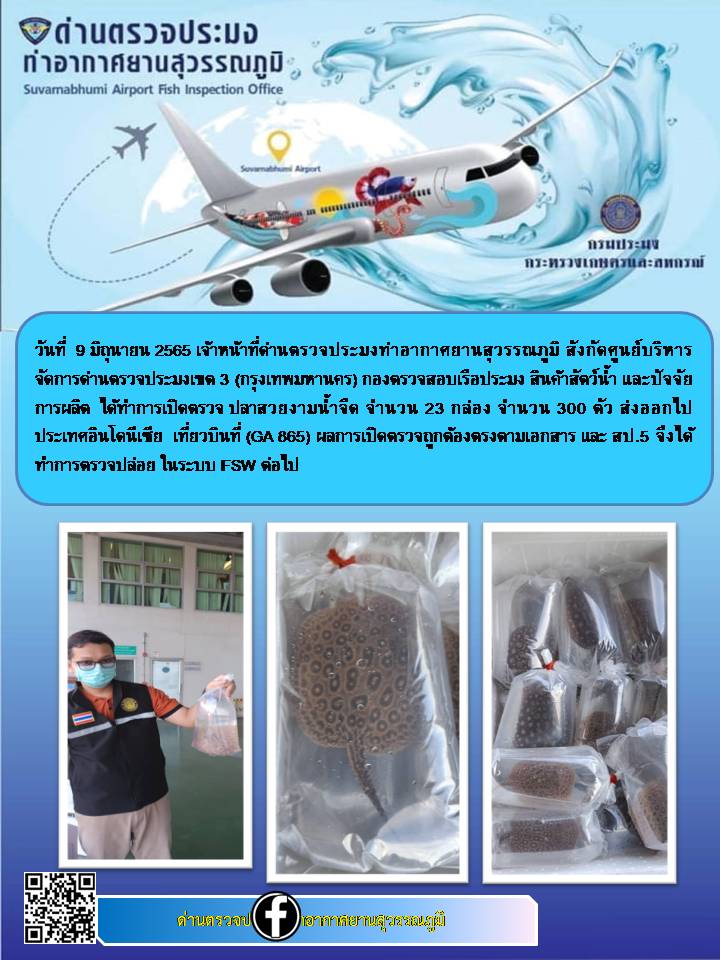 เปิดตรวจสินค้าสัตว์น้ำส่งออกสวยงามไปประเทศอินโดนีเซีย