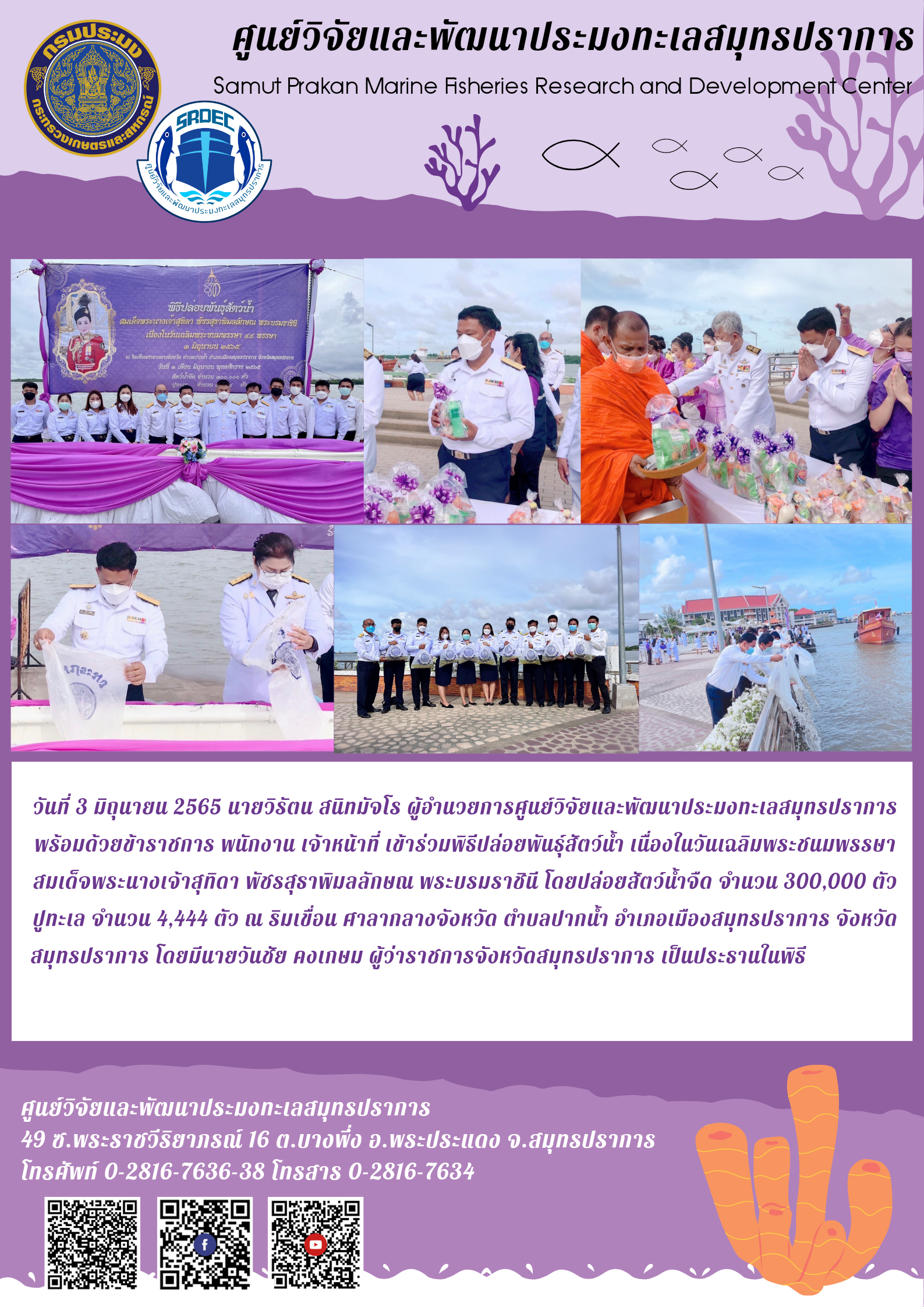 นายวิรัตน สนิทมัจโร ผู้อำนวยการศูนย์วิจัยและพัฒนาประมงทะเลสมุทรปราการ พร้อมด้วยข้าราชการ พนักงาน เจ้าหน้าที่ เข้าร่วมพิธีปล่อยพันธุ์สัตว์น้ำ..คลิก
