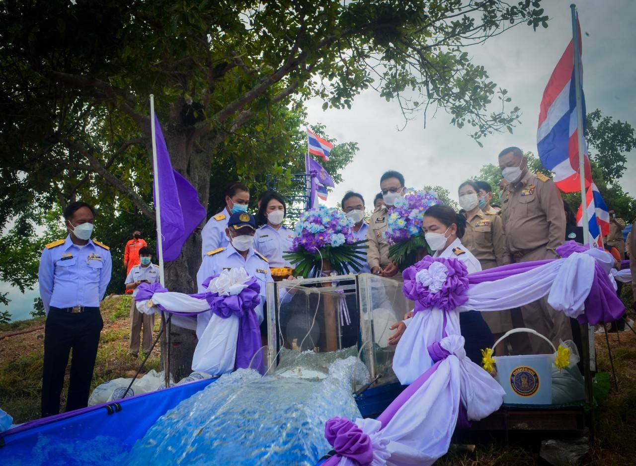 ร่วมปล่อยพันธุ์สัตว์น้ำ เพื่อเทิดพระเกียรติและถวายเป็นพระราชกุศลแด่สมเด็จพระนางเจ้าสุทิดา พัชรสุธาพิมลลักษณ พระบรมราชินี เนื่องในวันเฉลิมพระชนมพรรษา 3 มิถุนายน 2565..คลิก