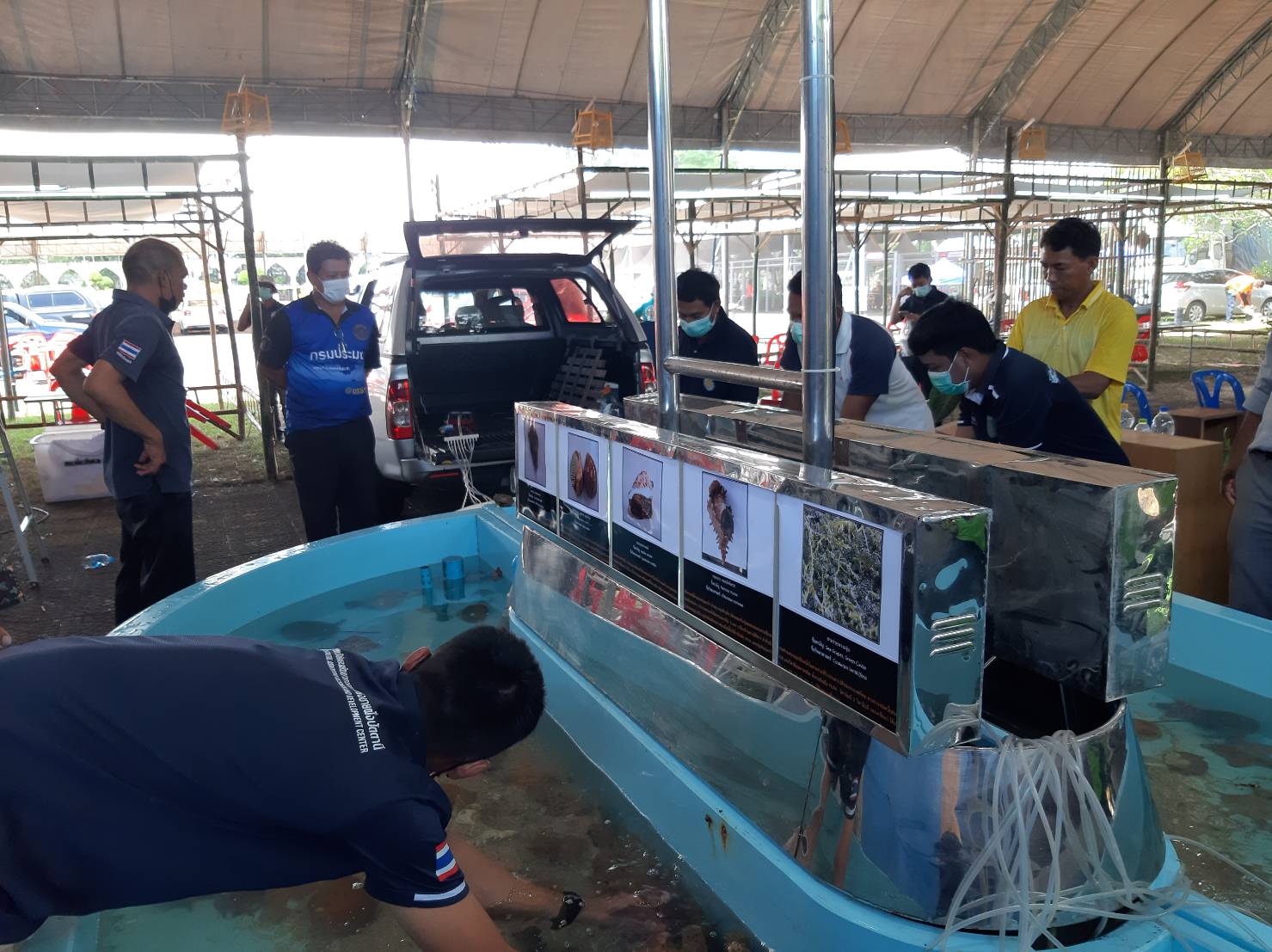 ศทช. ศพช.ปัตตานี และ ศพช.นราธิวาส ร่วมจัดนิทรรศการสิ่งมีชีวิตในท้องทะเล (touch pool) ในงานกาชาดและงานประจำปีของจังหวัดนราธิวาส