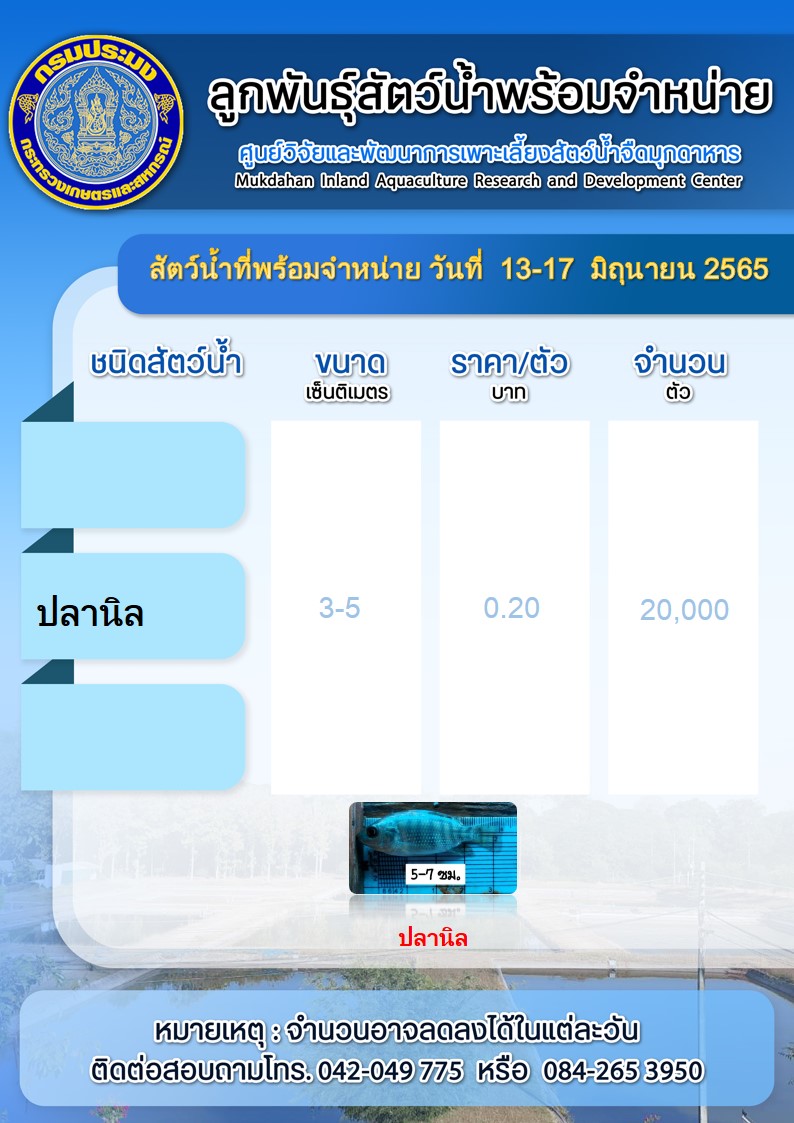 ลูกพันธุ์สัตว์น้ำพร้อมจำหน่าย