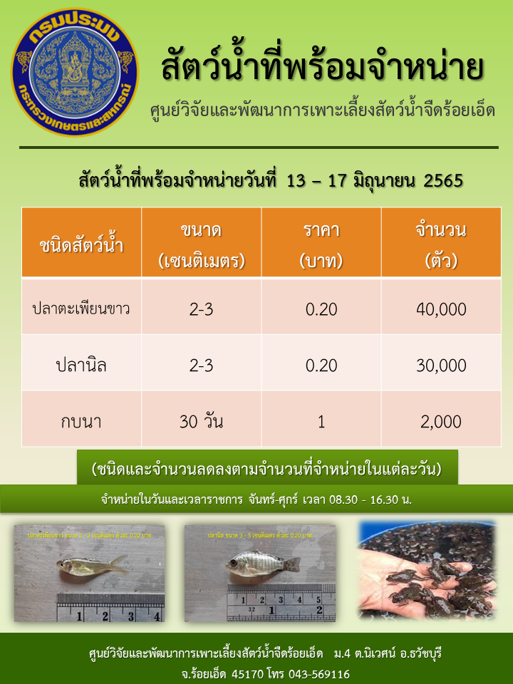 สัตว์น้ำที่พร้อมจำหน่ายวันที่ 13 - 17 มิถุนายน 2565