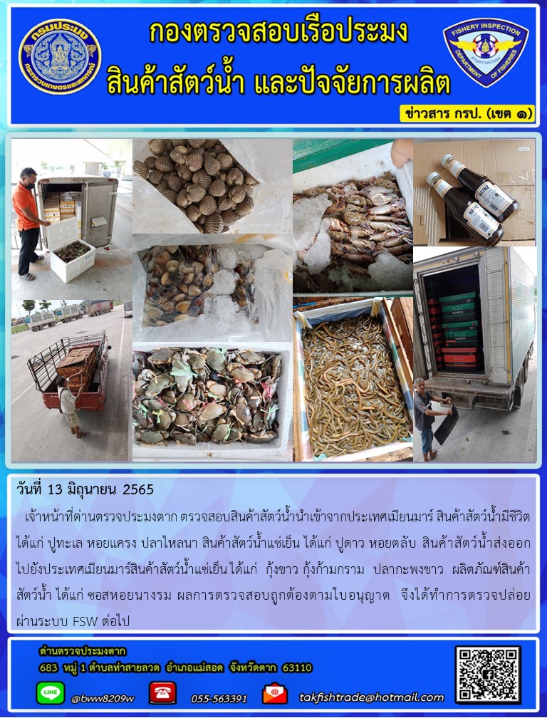 วันที่ 13 มิถุนายน 2565   เจ้าหน้าที่ด่านตรวจประมงตาก ตรวจสอบสินค้าสัตว์น้ำนำเข้าจากประเทศเมียนมาร์ สินค้าสัตว์น้ำมีชีวิต ได้แก่ ปูทะเล หอยแครง ปลาไหลนา สินค้าสัตว์น้ำแช่เย็น ได้แก่ ปูดาว หอยตลับ สินค้าสัตว์น้ำส่งออก   ไปยังประเทศเมียนมาร์สินค้าสัตว์น้ำแช่เย็น ได้แก่  กุ้งขาว กุ้งก้ามกราม  ปลากะพงขาว  ผลิตภัณฑ์สินค้า    สัตว์น้ำ ได้แก่ ซอสหอยนางรม ผลการตรวจสอบถูกต้องตามใบอนุญาต  จึงได้ทำการตรวจปล่อย       ผ่านระบบ FSW ต่อไป..คลิก