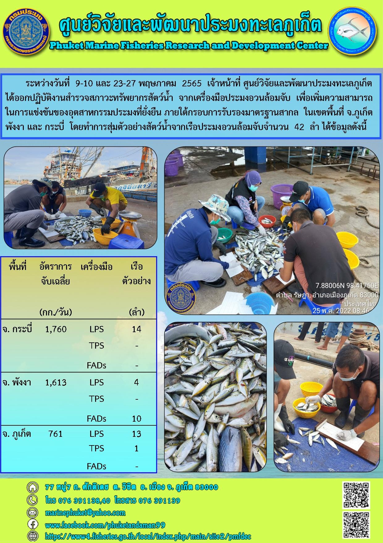 ระหว่างวันที่ 9-10 และ 23-27 พฤษภาคม 2565 เจ้าหน้าที่ศูนย์วิจัยและพัฒนาประมงทะเลภูเก็ต ได้ออกปฏิบัติงานสำรวจสภาวะทรัพยากรสัตว์น้ำจากเครื่องมือประมงอวนล้อมจับ เพื่อเพิ่มความสามารถในการแข่งขันของอุตสาหกรรมประมงที่ยั่งยืน ภายใต้กรอบการรับรองมาตรฐานสากล ในเขตพื้นที่ จ.ภูเก็ต พังงา และ กระบี่ โดยทำการสุ่มตัวอย่างสัตว์น้ำจากเรือประมงอวนล้อมจับจำนวน 42 ลำ..คลิก