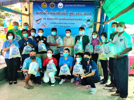 นางนันทวัน ศานติสาธิตกุล ผู้อำนวยการศูนย์วิจัยและพัฒนาการเพาะเลี้ยงสัตว์น้ำชายฝั่งระยอง ร่วมกิจกรรมปล่อยพันธุ์สัตว์น้ำ “พลิกฟื้น คืนสัตว์น้ำ สู่ทะเลระยอง”..คลิก