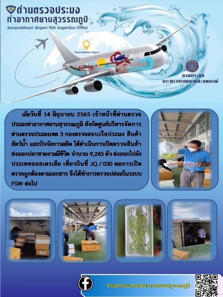 เปิดตรวจสินค้าสัตว์น้ำสวยงามส่งออกออสเตรเลีย