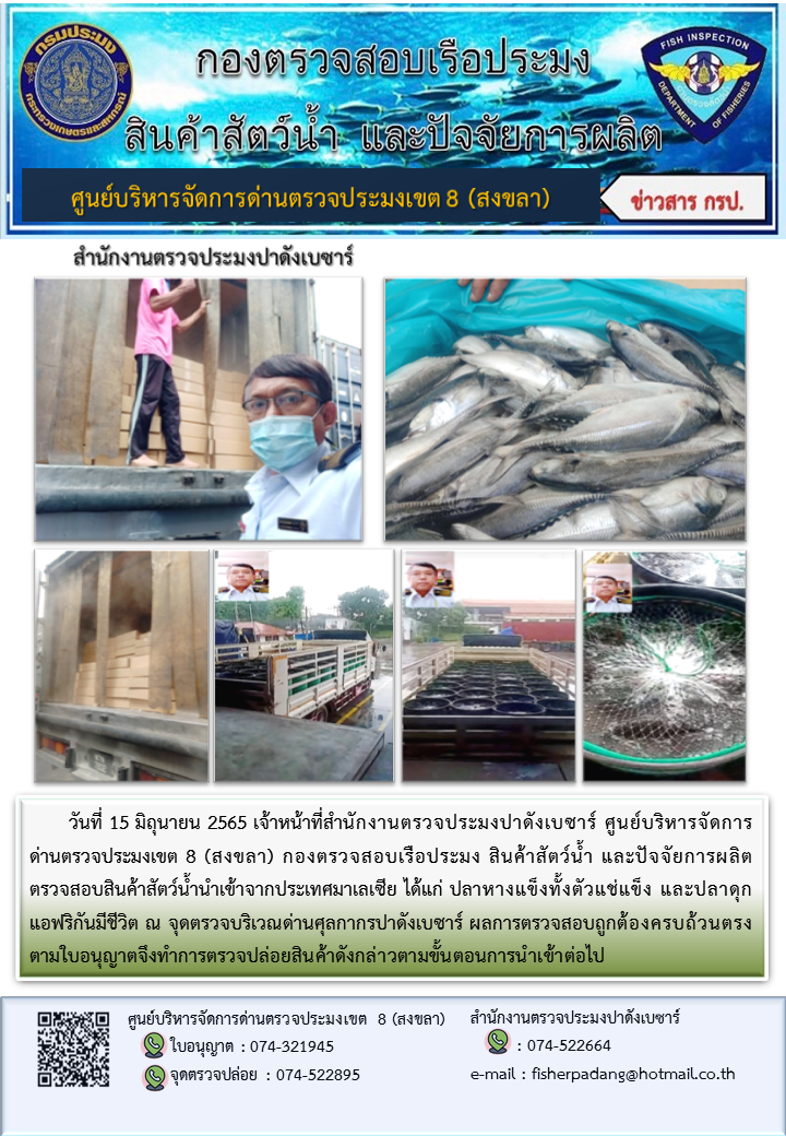 ประชาสัมพันธ์การปฏิบัติงาน วันที่ 15 มิถุนายน 2565 สำนักงานตรวจประมงปาดังเบซาร์..คลิก