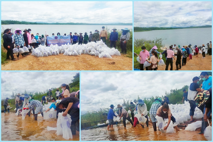 ปล่อยพันธุ์ปลาตะเพียนขาว จำนวน 500,000 ตัว โครงการปล่อยพันธุ์ปลาเพื่อรักษาระบบนิเวศในอ่างเก็บน้ำของกรมชลประทาน..คลิก