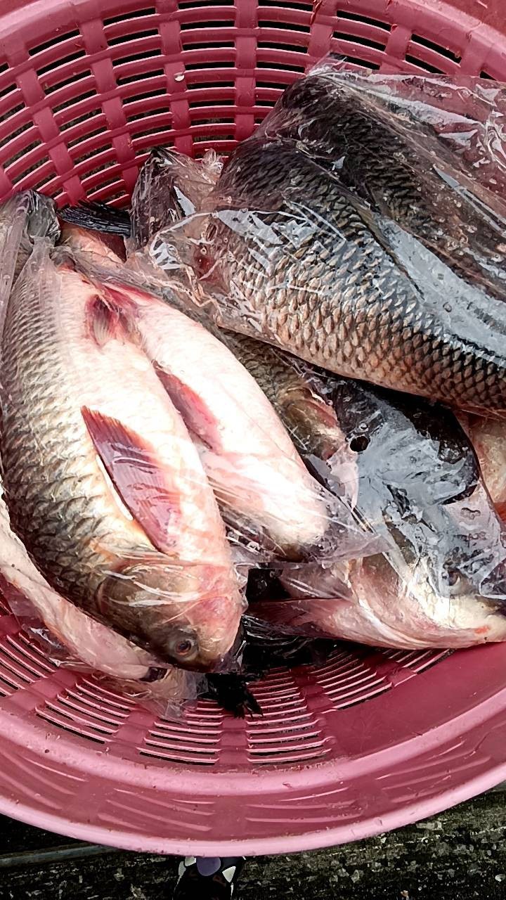 ตรวจสอบสินค้าส่งออก..คลิก