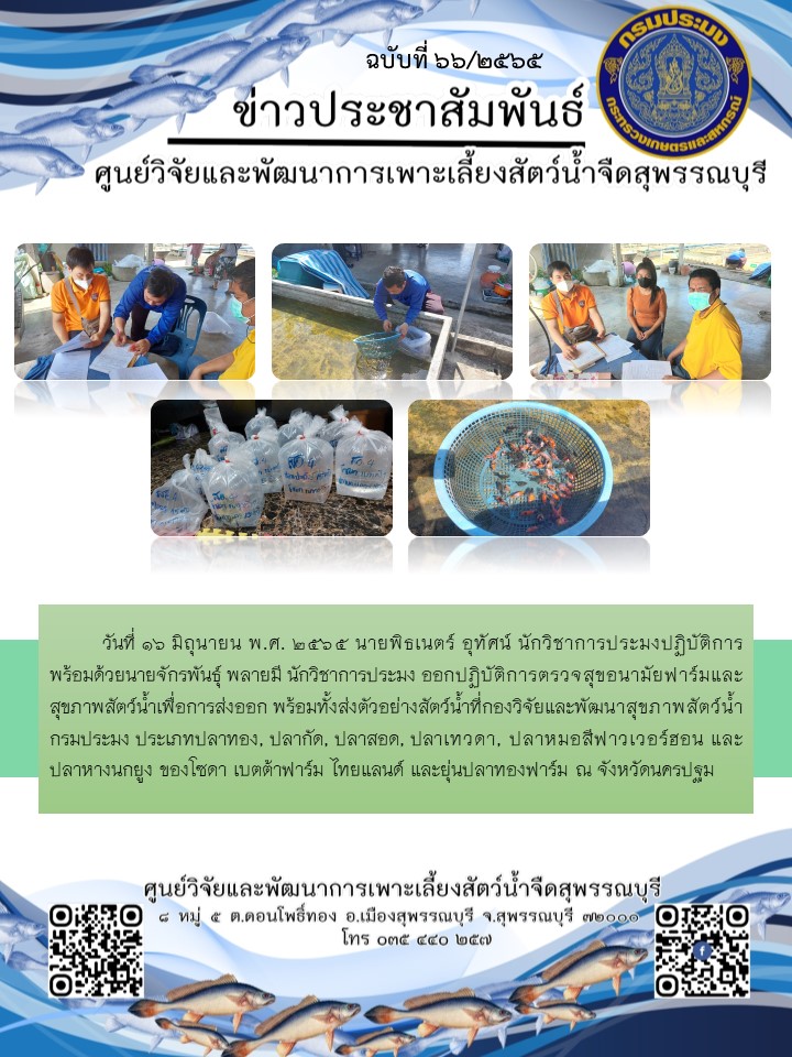 ข่าวประชาสัมพันธ์ฉบับที่ 66 ประจำเดือนมิถุนายน 2565..คลิก