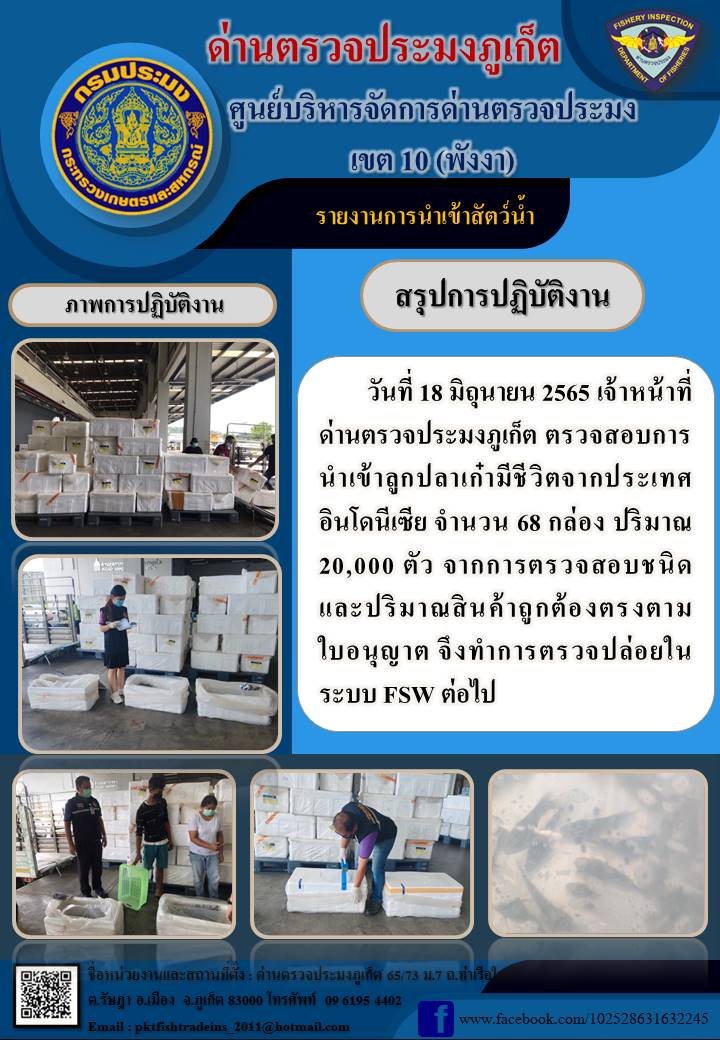 วันที่ 18 มิถุนายน 2565  เจ้าหน้าที่ด่านตรวจประมงภูเก็ต ตรวจสอบการนำเข้าลูกปลาเก๋ามีชีวิต จำนวน 68 กล่อง ปริมาณ 20,000 ตัว จากประเทศอินโดนีเซีย จากการตรวจสอบชนิดและปริมาณสินค้าถูกต้องตรงตามใบอนุญาต จึงทำการตรวจปล่อยในระบบ FSW ต่อไป..คลิก