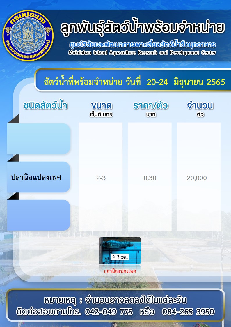 ลูกพันธุ์สัตว์น้ำพร้อมจำหน่าย..คลิก