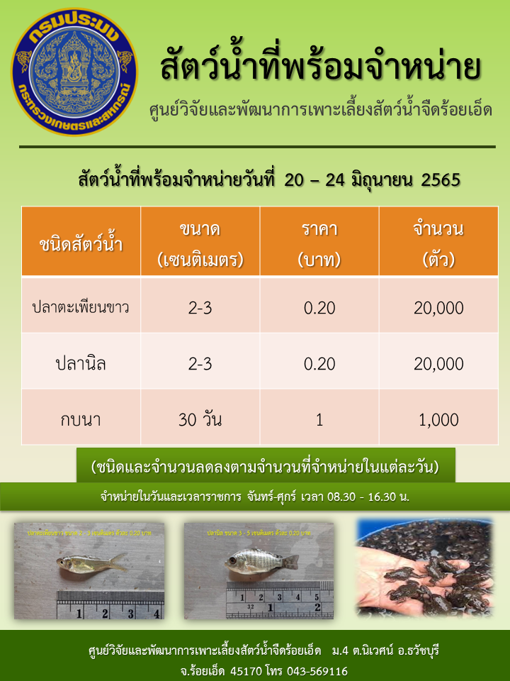 สัตว์น้ำที่พร้อมจำหน่ายวันที่ 20 - 24 มิถุนายน 2565..คลิก