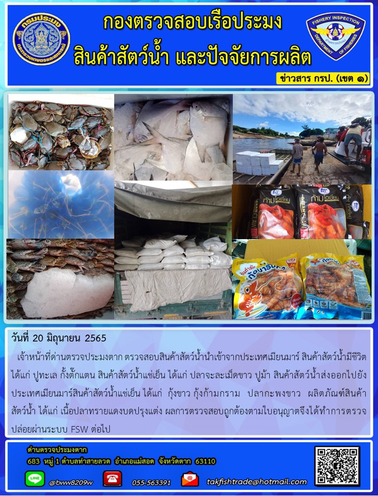 วันที่ 20 มิถุนายน 2565   เจ้าหน้าที่ด่านตรวจประมงตาก ตรวจสอบสินค้าสัตว์น้ำนำเข้าจากประเทศเมียนมาร์ สินค้าสัตว์น้ำมีชีวิต ได้แก่ ปูทะเล กั้งตั๊กแตน สินค้าสัตว์น้ำแช่เย็น ได้แก่ ปลาจะละเม็ดขาว ปูม้า สินค้าสัตว์น้ำส่งออกไปยังประเทศเมียนมาร์สินค้าสัตว์น้ำแช่เย็น ได้แก่  กุ้งขาว กุ้งก้ามกราม  ปลากะพงขาว  ผลิตภัณฑ์สินค้า     สัตว์น้ำ ได้แก่ เนื้อปลาทรายแดงบดปรุงแต่ง ผลการตรวจสอบถูกต้องตามใบอนุญาตจึงได้ทำการตรวจปล่อยผ่านระบบ FSW ต่อไป..คลิก
