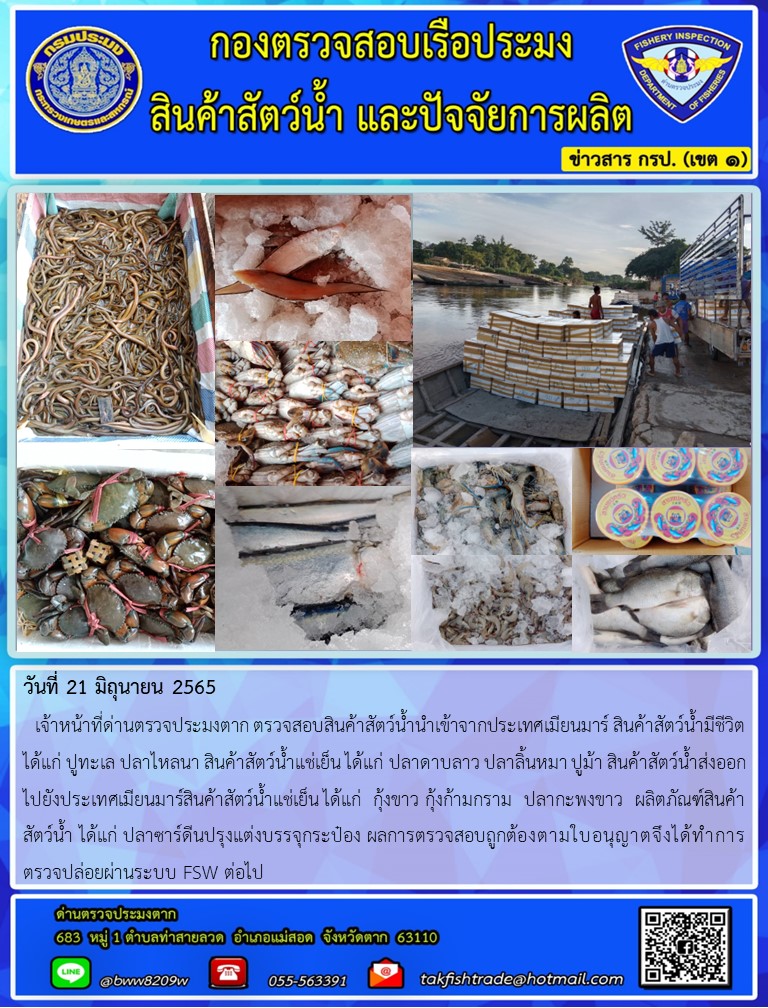 วันที่ 21 มิถุนายน 2565   เจ้าหน้าที่ด่านตรวจประมงตาก ตรวจสอบสินค้าสัตว์น้ำนำเข้าจากประเทศเมียนมาร์ สินค้าสัตว์น้ำมีชีวิต ได้แก่ ปูทะเล ปลาไหลนา สินค้าสัตว์น้ำแช่เย็น ได้แก่ ปลาดาบลาว ปลาลิ้นหมา ปูม้า สินค้าสัตว์น้ำส่งออกไปยังประเทศเมียนมาร์สินค้าสัตว์น้ำแช่เย็น ได้แก่  กุ้งขาว กุ้งก้ามกราม  ปลากะพงขาว  ผลิตภัณฑ์สินค้า     สัตว์น้ำ ได้แก่ ปลาซาร์ดีนปรุงแต่งบรรจุกระป๋อง ผลการตรวจสอบถูกต้องตามใบอนุญาตจึงได้ทำการตรวจปล่อยผ่านระบบ FSW ต่อไป..คลิก