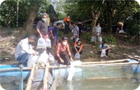 มอบและปล่อยพันธุ์น้ำในโครงการธนาคารเพื่อการเกษตรด้านการประมง..คลิก