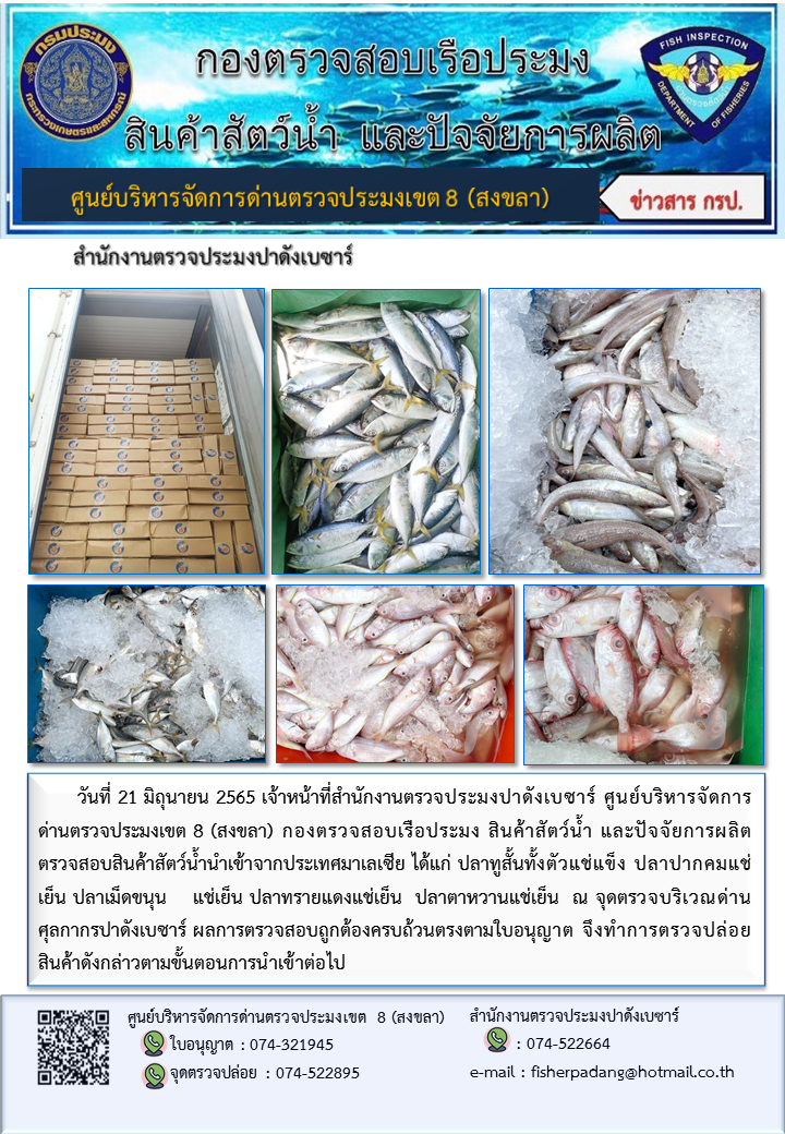 ประชาสัมพันธ์การปฏิบัติงาน วันที่ 21 มิถุนายน 2565 สำนักงานตรวจประมงปาดังเบซาร์..คลิก
