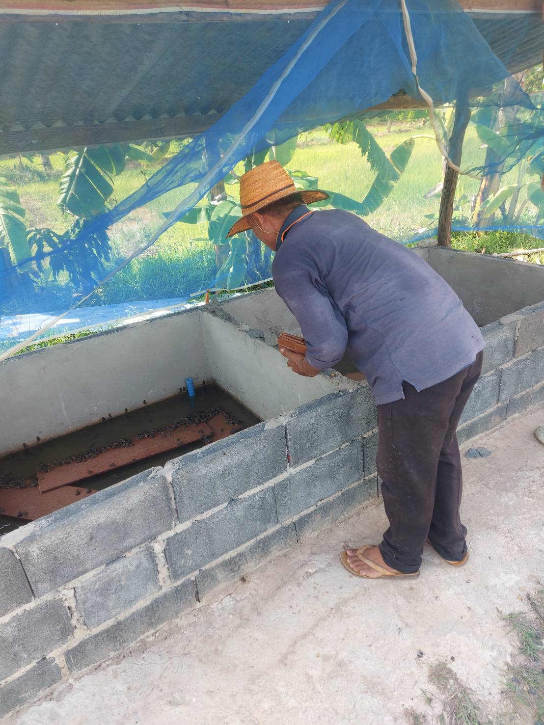 ประมงอำเภอเขมราฐ ลงพื้นที่ดำเนินการประชาสัมพันธ์ สร้างการรับรู้เกี่ยวกับการออกหนังสือกำกับการจำหน่ายลูกพันธ์สัตว์น้ำ 