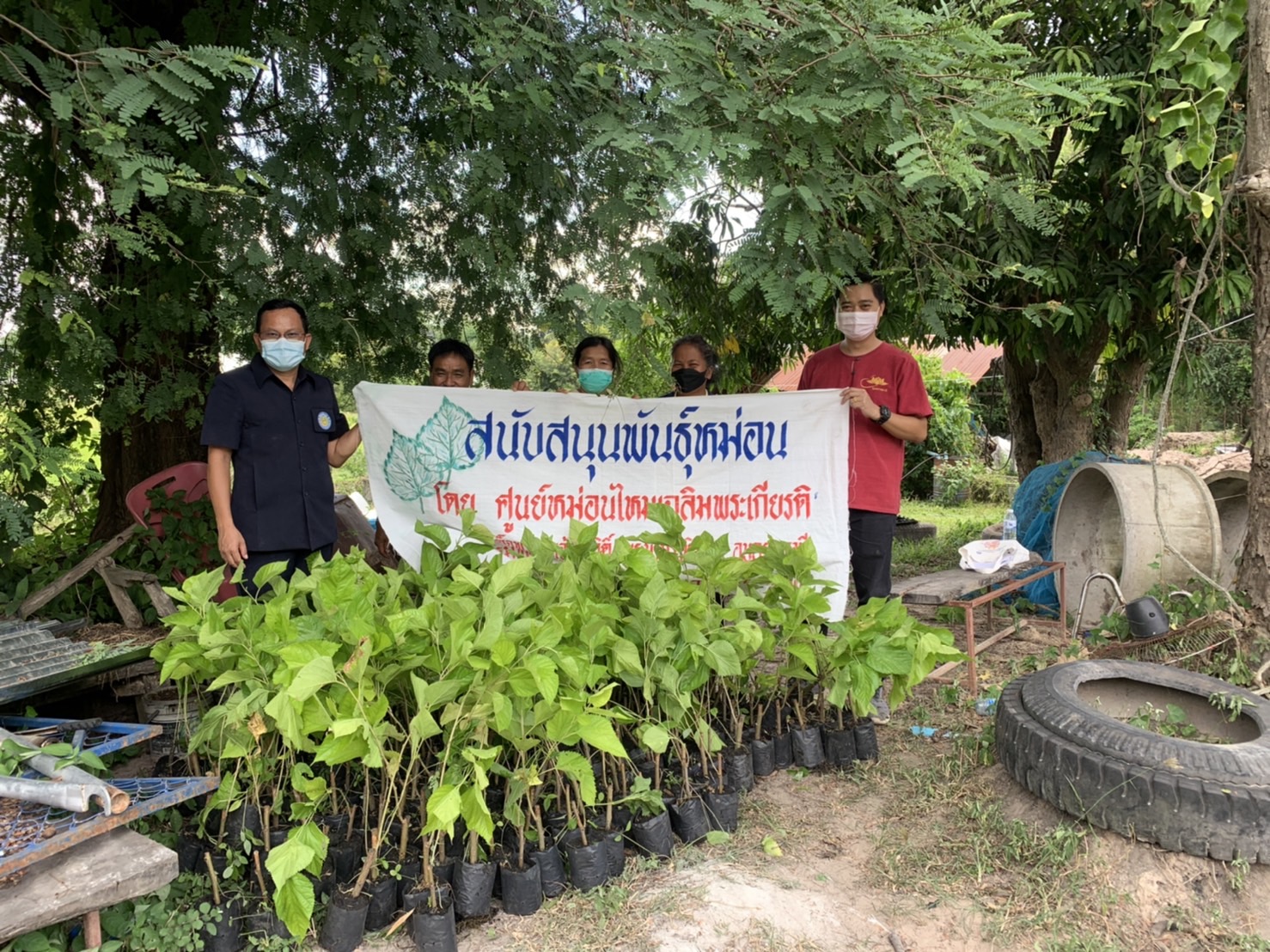 รูป ประกอบบทความ2