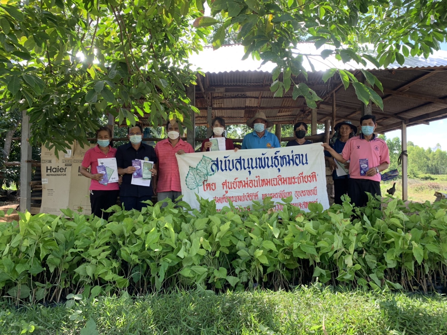 รูป ประกอบบทความ5