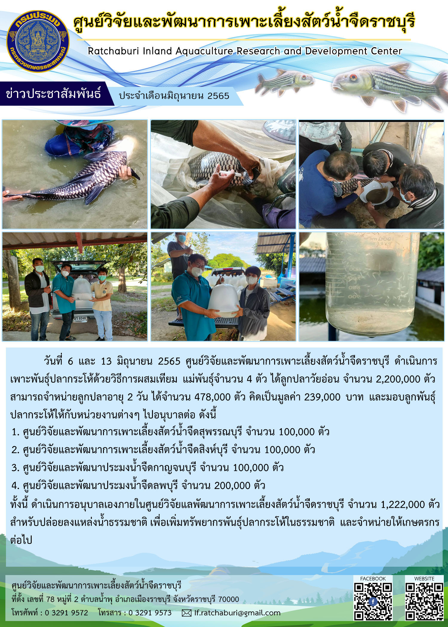 ศูนย์วิจัยและพัฒนาการเพาะเลี้ยงสัตว์น้ำจืดราชบุรี ดำเนินการเพาะพันธุ์ปลากระโห้ด้วยวิธีการผสมเทียม..คลิก