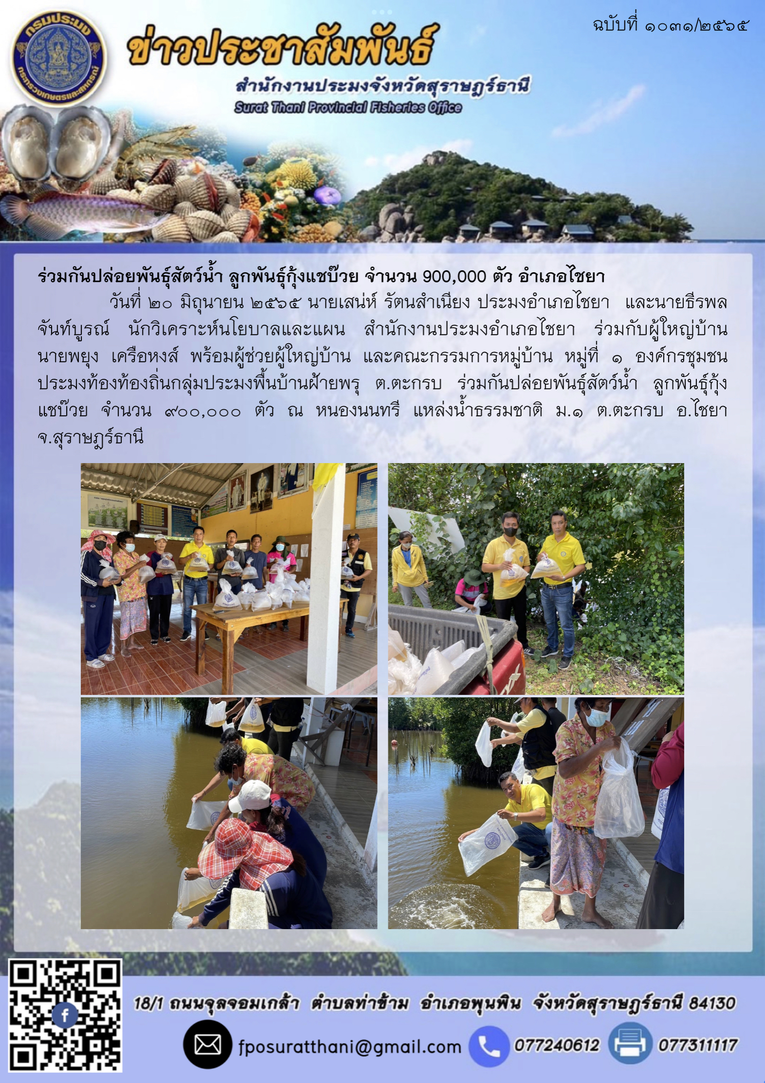 ร่วมกันปล่อยพันธุ์สัตว์น้ำ ลูกพันธุ์กุ้งแชบ๊วย จำนวน 900,000 ตัว อำเภอไชยา..คลิก