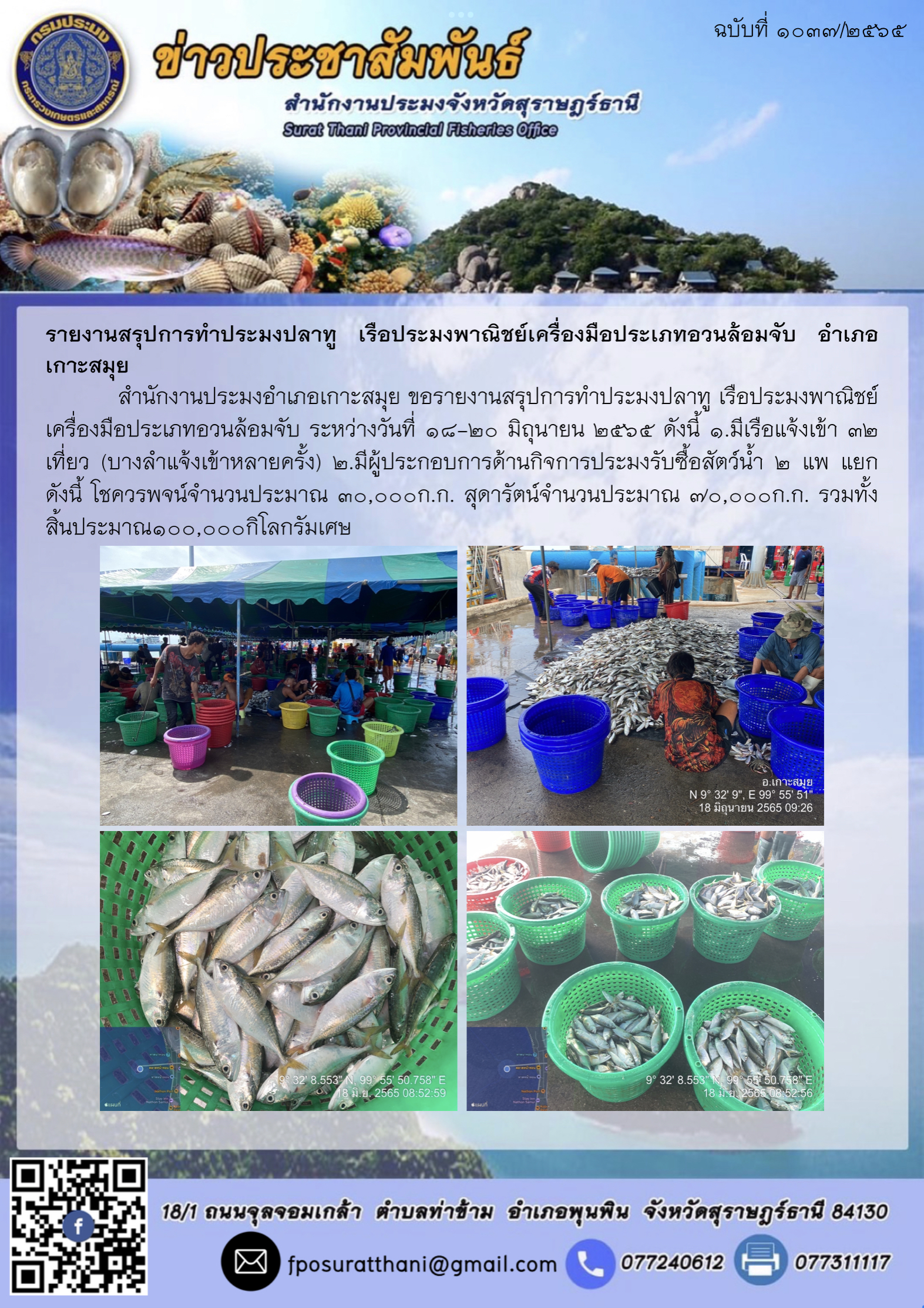 รายงานสรุปการทำประมงปลาทู เรือประมงพาณิชย์เครื่องมือประเภทอวนล้อมจับ อำเภอเกาะสมุย..คลิก