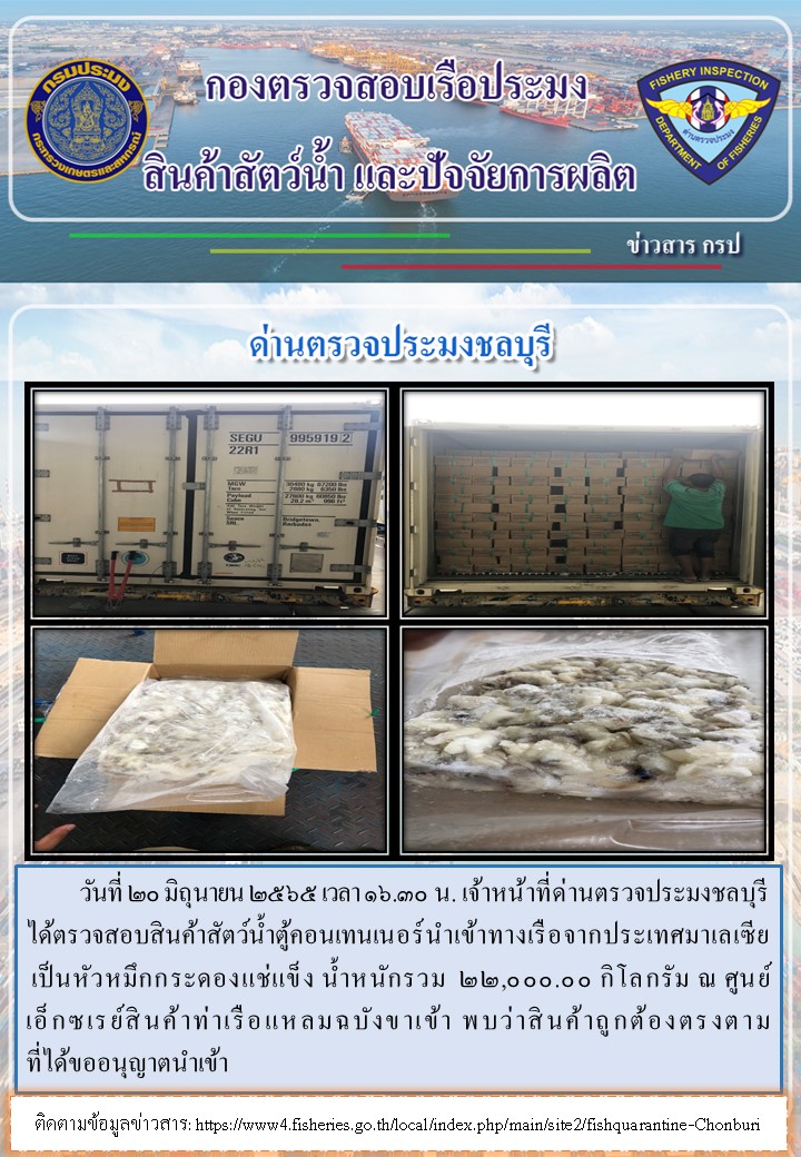 การปฏิบัติงานของเจ้าหน้าที่ด่านตรวจประมงชลบุรีประจำวันที่ 20 มิถุนายน 2565..คลิก