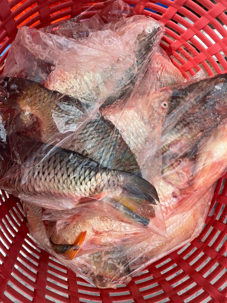 ตรวจสอบสินค้าส่งออกและอาหารสัตว์น้ำ..คลิก