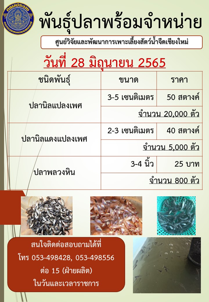พันธุ์ปลาพร้อมจำหน่าย วันที่ 28 มิถุนายน 2565..คลิก