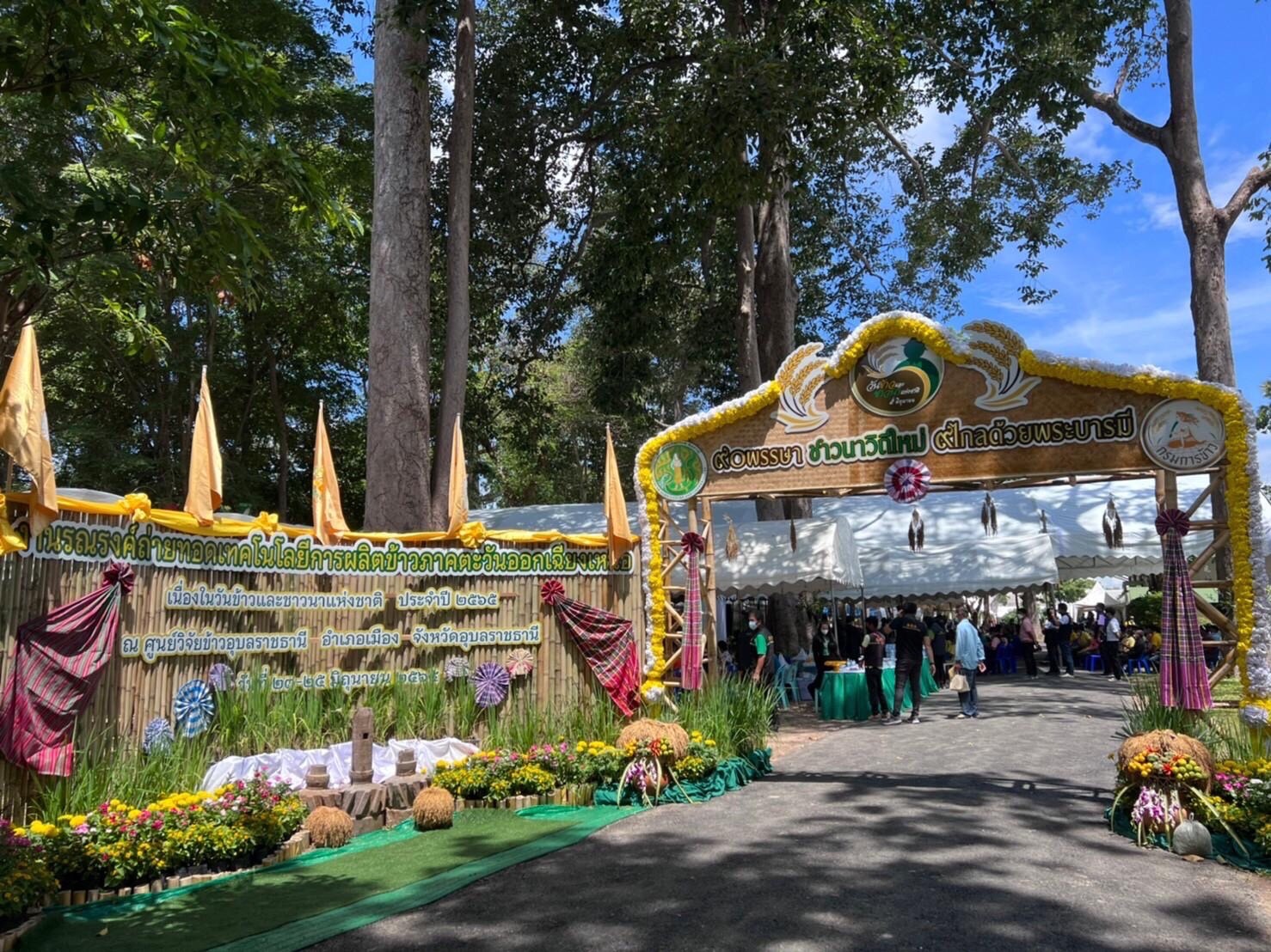 ยิ่งใหญ่! ประมงอุบลฯ ร่วมเปิดงานข้าวและชาวนาฯ นำเสนอนิทรรศการการเลี้ยงปลาในนาข้าว ลดต้นทุนเกษตรกร