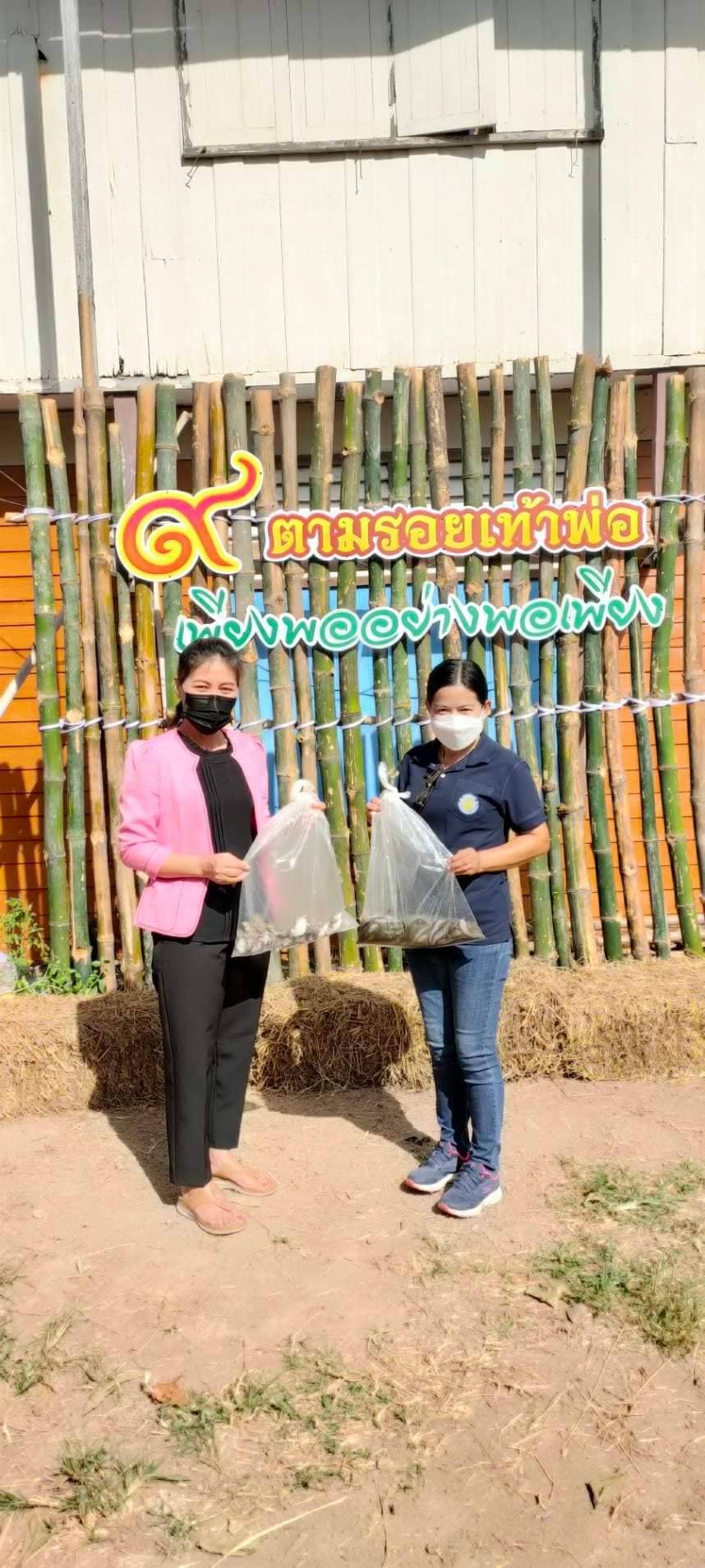 รูป ประกอบบทความ2