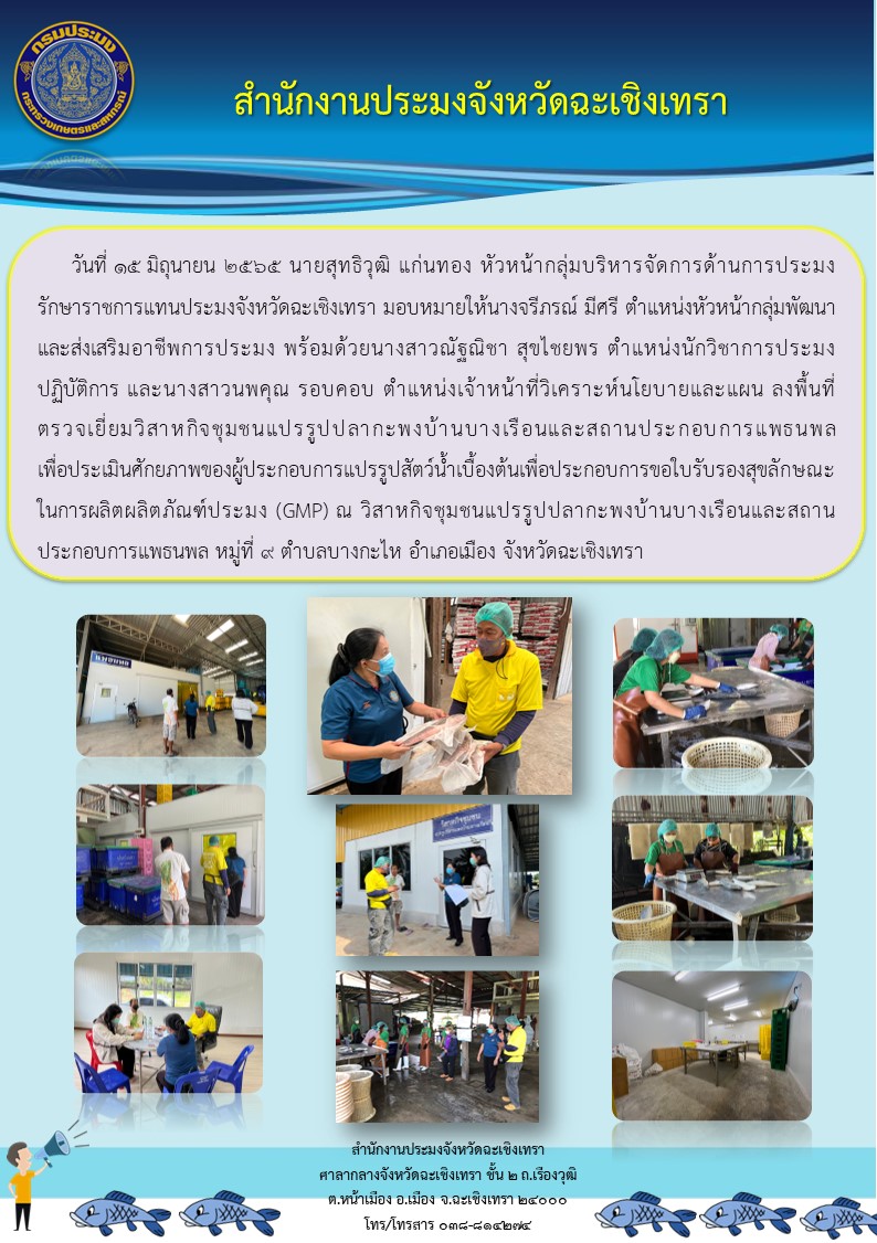 นายสุทธิวุฒิ แก่นทอง หัวหน้ากลุ่มบริหารจัดการด้านการประมงรักษาราชการแทนประมงจังหวัดฉะเชิงเทรา มอบหมายให้นางจรีภรณ์ มีศรี ตำแหน่งหัวหน้ากลุ่มพัฒนาและส่งเสริมอาชีพการประมง พร้อมด้วยนางสาวณัฐณิชา สุขไชยพร นักวิชาการประมงปฏิบัติการ และนางสาวนพคุณ รอบคอบ เจ้าหน้าที่วิเคราะห็นโยบายและแผน ลงพื้นที่ตรวจเยี่ยมวิสาหกิจชุมชนแปรรูปปลากะพงบ้านบางเรือนและสถานประกอบการแพธนพลเพื่อประเมินศักยภาพของผู้ประกอบการแปรรูปสุตว์น้ำเบื้องต้นเพื่อประกอบการขอใบรับรองสุขลักษณะในผลิตภัณฑ์ประมง (GMP) ณ วิสาหกิจชุมชนแปรรูปปลากะพงบ้านบางเรือนและสถานประกอบการแพธนพล หมู่ที่ 9 ตำบลบางกะไห อำเภอเมือง จังหวัดฉะเชิงเทรา..คลิก