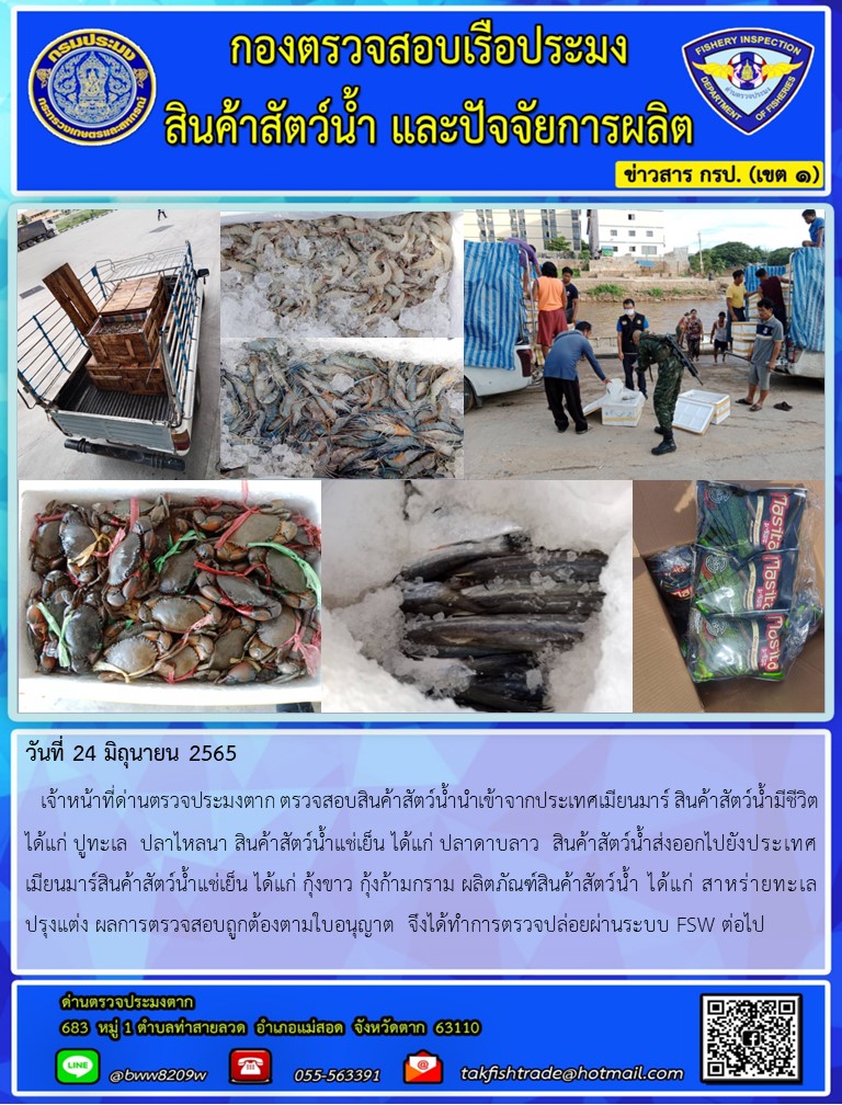 วันที่ 24 มิถุนายน 2565   เจ้าหน้าที่ด่านตรวจประมงตาก ตรวจสอบสินค้าสัตว์น้ำนำเข้าจากประเทศเมียนมาร์ สินค้าสัตว์น้ำมีชีวิต ได้แก่ ปูทะเล  ปลาไหลนา สินค้าสัตว์น้ำแช่เย็น ได้แก่ ปลาดาบลาว  สินค้าสัตว์น้ำส่งออกไปยังประเทศเมียนมาร์สินค้าสัตว์น้ำแช่เย็น ได้แก่ กุ้งขาว กุ้งก้ามกราม ผลิตภัณฑ์สินค้าสัตว์น้ำ ได้แก่ สาหร่ายทะเล  ปรุงแต่ง ผลการตรวจสอบถูกต้องตามใบอนุญาต  จึงได้ทำการตรวจปล่อยผ่านระบบ FSW ต่อไป..คลิก