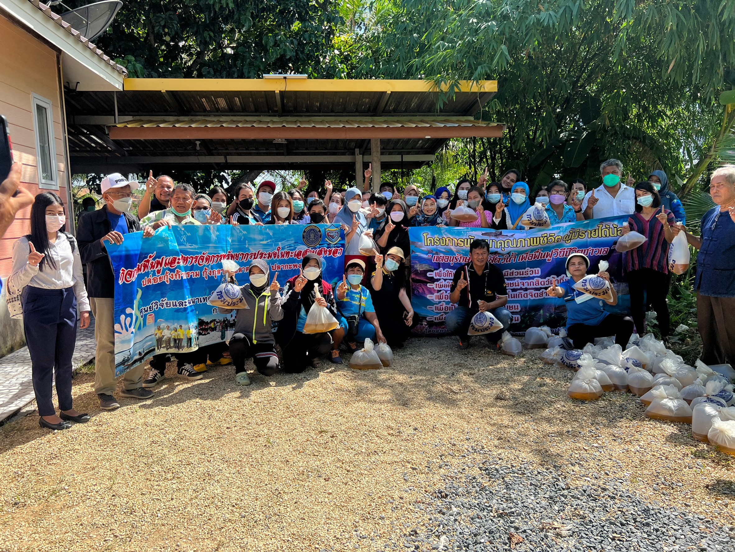 ประมงอำเภอปากพะยูน ร่วมปล่อยพันธุ์กุ้งก้ามกรามตามแผนงานโครงการฟื้นฟูและบริหารทรัพยากรสัตว์น้ำในทะเลสาบสงขลา..คลิก