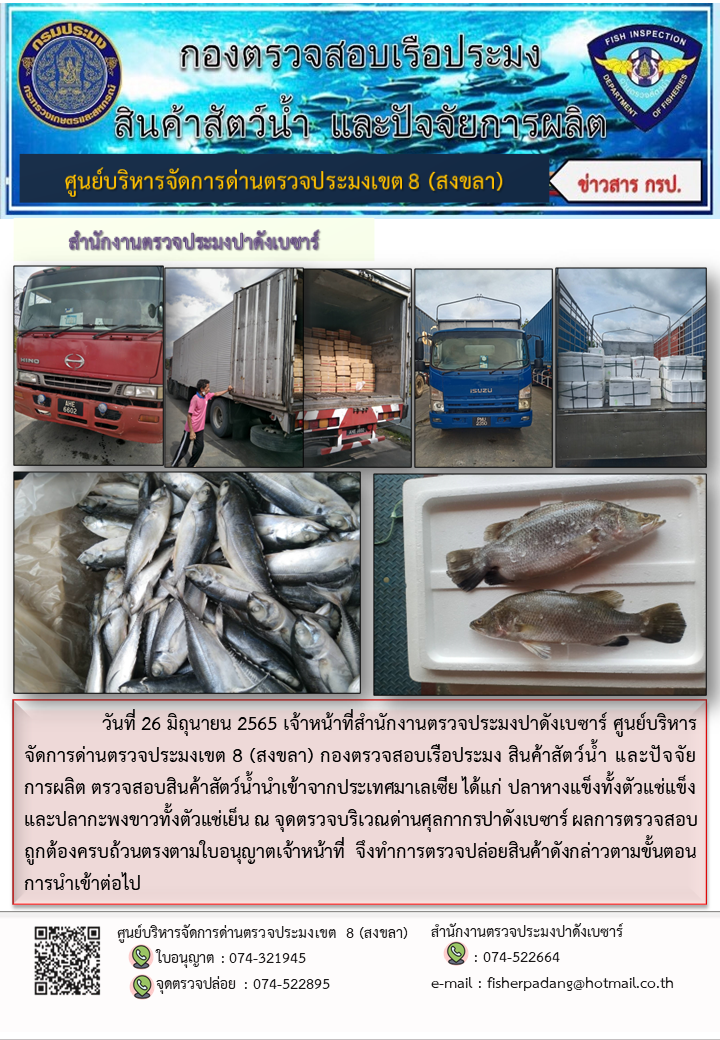 ประชาสัมพันธ์การปฏิบัติงาน วันที่ 26 มิถุนายน 2565 สำนักงานตรวจประมงปาดังเบซาร์..คลิก