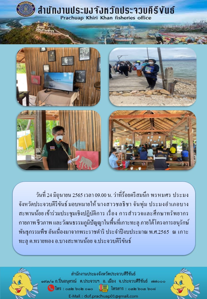 การสำรวจและศึกษาทรัพยากรกายภาพ ชีวภาพ และวัฒนธรรมภูมิปัญญาในพื้นที่เกาะทะลุ ภายใต้โครงการอนุรักษ์พันธุกรรมพืช อันเนื่องมาจากพระราชดำริ ประจำปีงบประมาณ พ.ศ.2565..คลิก