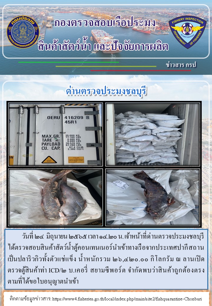 การปฏิบัติงานของเจ้าหน้าที่ด่านตรวจประมงชลบุรีประจำวันที่ 24 มิถุนายน 2565..คลิก