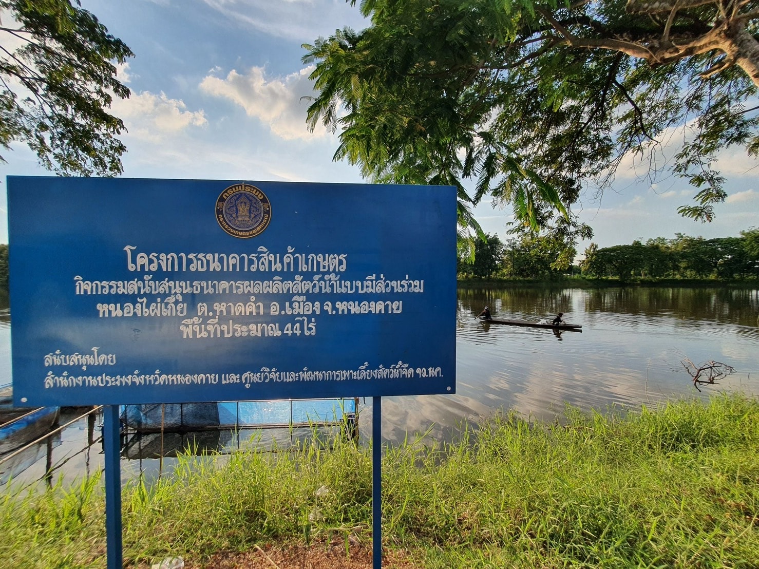 วันที่ 26 - 27  มิถุนายน 2565 ศูนย์วิจัยและพัฒนาการเพาะเลี้ยงสัตว์น้ำจืดหนองคาย โดยนางชลธิชา พิชคำ นักวิชาการประมงปฏิบัติการ พร้อมด้วยเจ้าหน้าที่ ร่วมกับ สำนักงานประมงจังหวัดหนองคาย คณะกรรมการ และสมาชิกโครงการธนาคารผลผลิตสัตว์น้ำปี 2565 แหล่งน้ำหนองไผ่เกี้ย ตำบลหาดคำ อำเภอเมืองหนองคาย จังหวัดหนองคาย ออกประเมิน ปริมาณการจับสัตว์น้ำต่อหน่วย การลงแรงประมง (CPUE) ณ หนองไผ่เกี้ย ขนาดพื้นที่ 44 ไร่ โดยใช้ข่ายขนาดช่องตา 2,3,4,5,7,9 และ 12 เซนติเมตร หลังจากปล่อยพันธุ์สัตว์น้ำลงในแหล่งน้ำธนาคารฯ ครั้งที่ 2