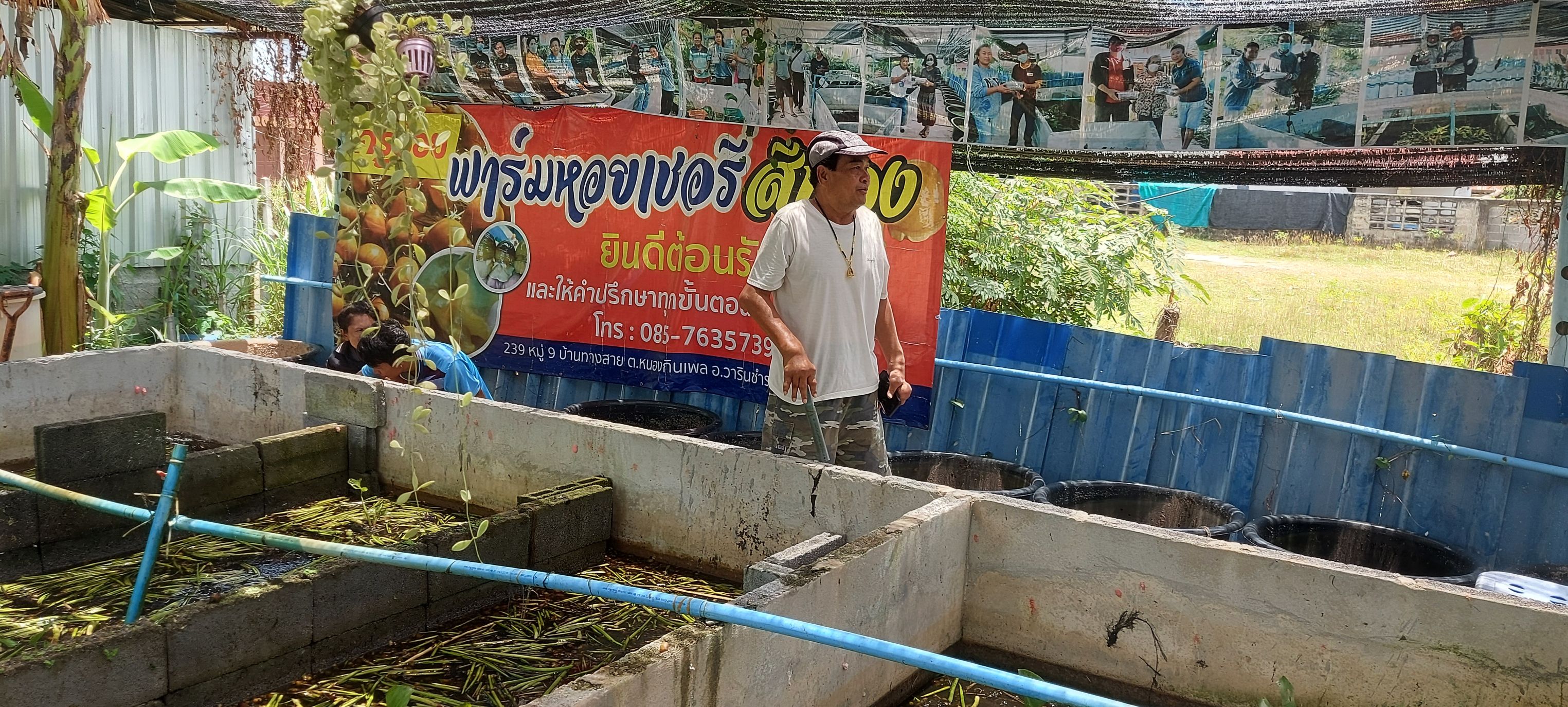 ประมงอำเภอวารินชำราบ ลงพื้นที่ตรวจสอบลงพื้นที่เยี่ยมเยือนฟาร์มเลี้ยงหอยเชอร์รี่สีทองรายนาย  เลขที่ 239 ม.9 บ้านทางสายใต้ ต.หนองกินเพล อ.วารินชำราบ จ.อุบลราชธานี