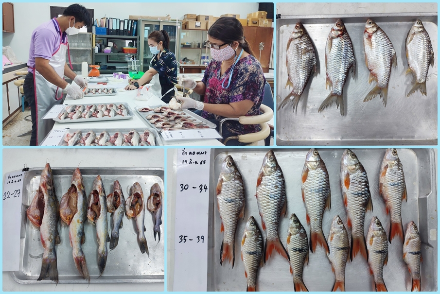 ปฏิบัติงานกิจกรรมจัดระเบียบการทำประมง ครั้งที่ 12..คลิก